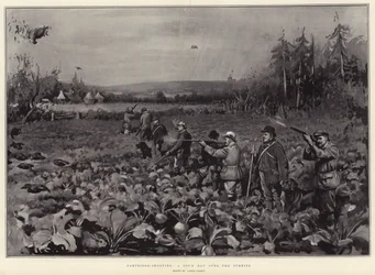 Rebhuhnjagd, ein guter Tag über den Rüben